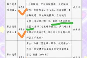  如何从业余篮球爱好者晋升为赛场高手：提高比赛水平的全面指南